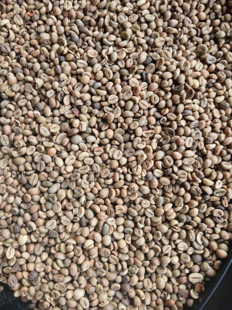 Grains de café
